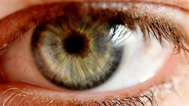 bai-viet/tim-hieu-giac-mac-la-gi-va-mot-so-benh-thuong-gap-o-giac-mac.html