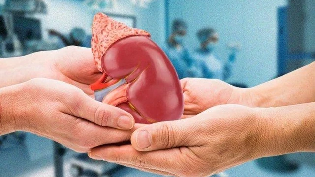 bai-viet/nguoi-song-hien-than-nhu-the-nao-con-mot-qua-than-co-song-duoc-khong.html