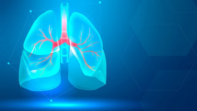 bai-viet/hoa-du-du-duc-chua-viem-phe-quan-duoc-khong-nhung-luu-y-khi-su-dung-hoa-du-du-duc.html