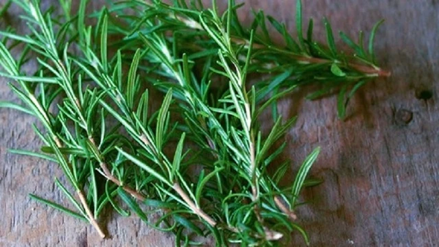 bai-viet/cach-su-dung-cay-huong-thao-duoi-hieu-qua.html