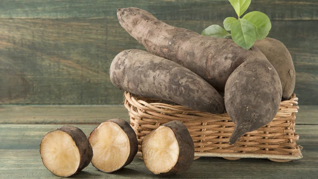 bai-viet/khoai-sam-dat-la-cu-gi-khoai-sam-dat-an-song-duoc-khong.html