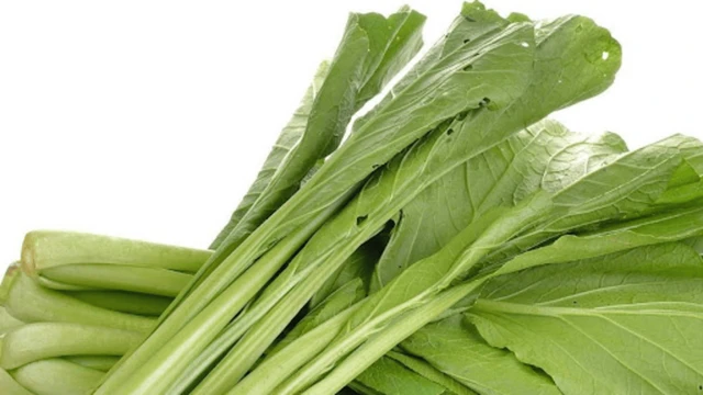 bai-viet/loi-ich-cua-rau-cai-doi-voi-suc-khoe.html