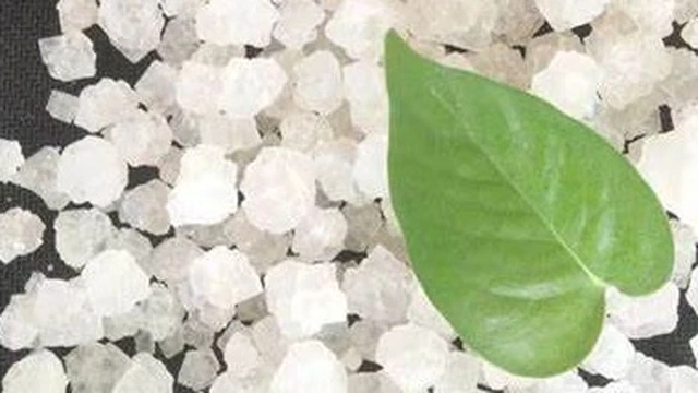 bai-viet/duong-phen-co-tac-dung-gi-doi-voi-suc-khoe-ban-da-biet-chua.html