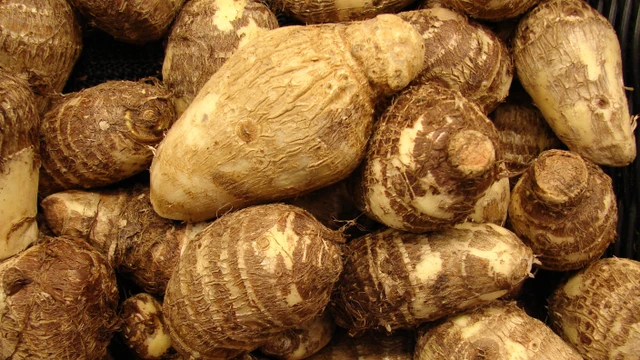 bai-viet/giai-dap-thac-mac-tieu-duong-co-an-duoc-khoai-so-khong.html