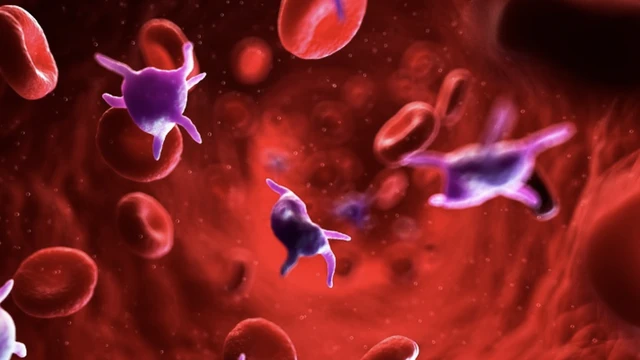 bai-viet/suy-nhuoc-tieu-cau-nguyen-nhan-va-cach-dieu-tri.html