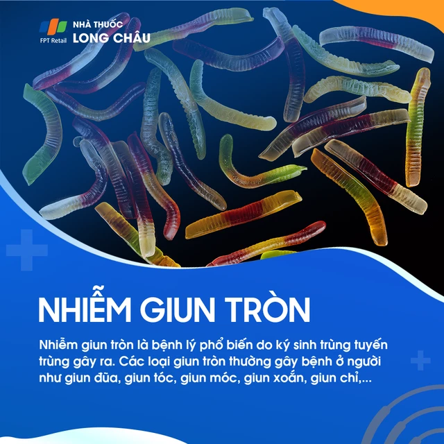 Giun tròn là gì? Nguyên nhân, triệu chứng và cách điều trị