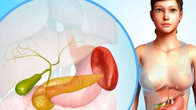 bai-viet/tang-insulin-mau-la-gi-nguyen-nhan-trieu-chung-va-dieu-tri-tang-insulin-mau.html