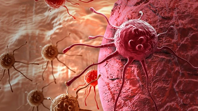 bai-viet/tien-ung-thu-la-gi-dau-hieu-nhan-biet-giup-phat-hien-som-benh.html