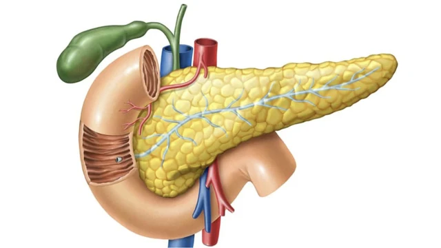 bai-viet/tuyen-tuy-va-tuyen-tren-than-nhung-thong-tin-bo-ich-can-biet.html