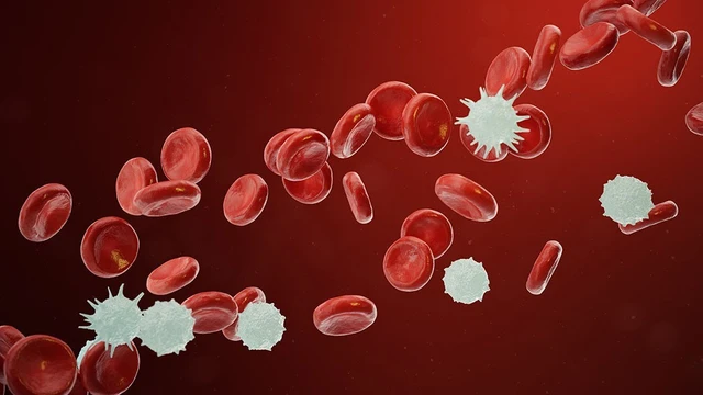 bai-viet/ung-thu-mau-la-benh-gi-ung-thu-mau-ghep-tuy-song-duoc-bao-lau.html