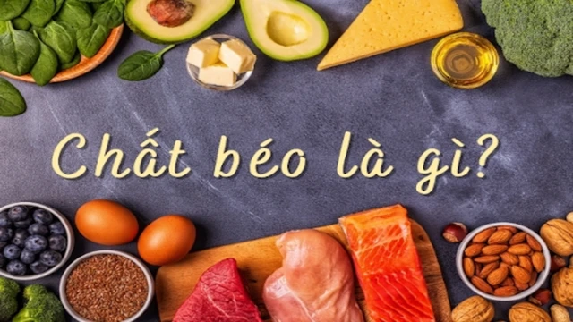 bai-viet/vai-tro-cua-chat-beo-va-cach-kiem-soat-chat-beo-trong-co-the.html