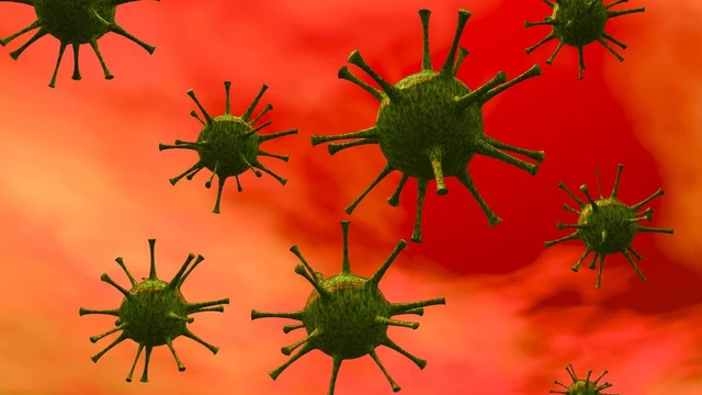 bai-viet/tim-hieu-thong-tin-tong-quan-ve-virus-ebv.html