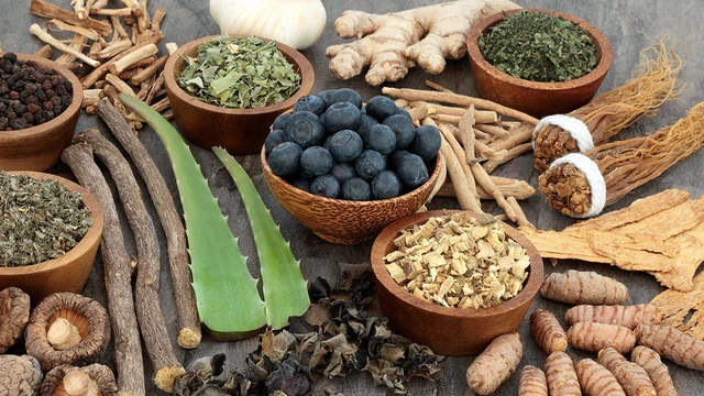 bai-viet/adaptogens-la-gi-co-tac-dung-gi-voi-suc-khoe-va-tinh-than.html