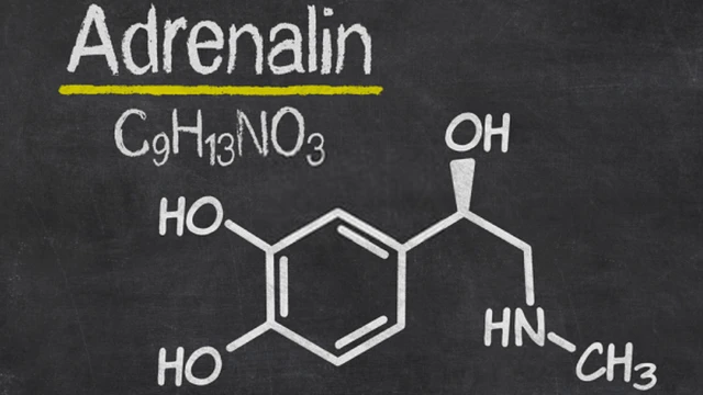 bai-viet/adrenaline-la-gi-tac-dung-cua-hormone-adrenaline.html