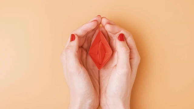 bai-viet/am-dao-sau-bao-nhieu-yeu-to-nao-anh-huong-den-kich-thuoc-am-dao.html