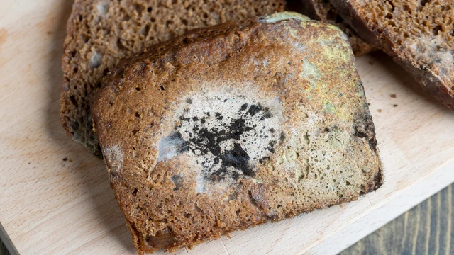 bai-viet/am-moc-co-gay-hai-cho-suc-khoe-khong.html