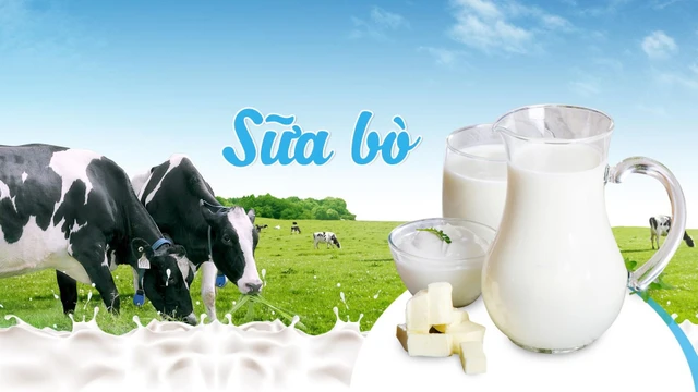 bai-viet/an-chay-co-duoc-uong-sua-khong-cac-loai-sua-thay-the-tu-thuc-vat-63782.html