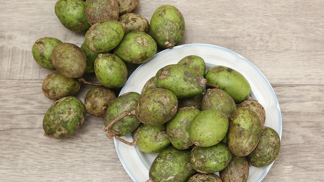 bai-viet/an-coc-co-noi-mun-khong-tac-dung-cua-trai-coc-doi-voi-suc-khoe.html