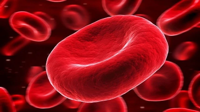 bai-viet/an-gi-de-giup-thai-phu-tang-hong-cau-nang-cao-suc-de-khang.html