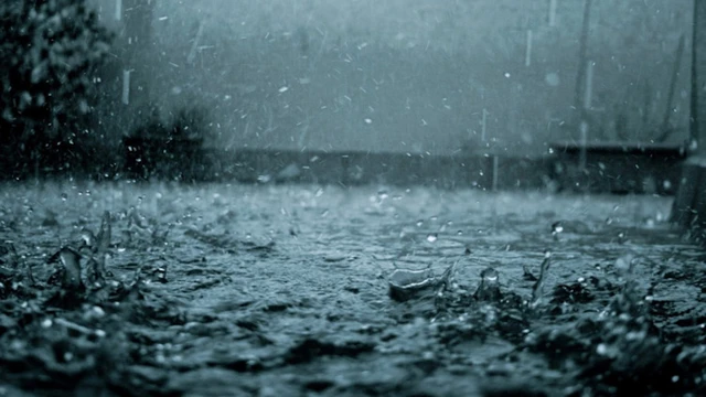 bai-viet/an-gi-khi-troi-mua-de-duy-tri-suc-khoe-va-nang-luong.html