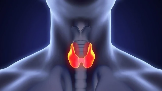 bai-viet/an-gi-tot-cho-tuyen-giap-thuc-pham-phong-benh-tuyen-giap-hieu-qua.html