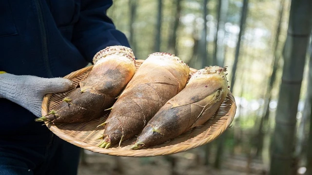 bai-viet/an-mang-co-tot-khong-nhung-luu-y-khi-an-mang-69119.html