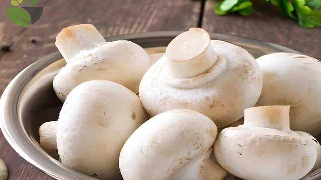 bai-viet/an-nam-rom-co-tot-khong-62475.html