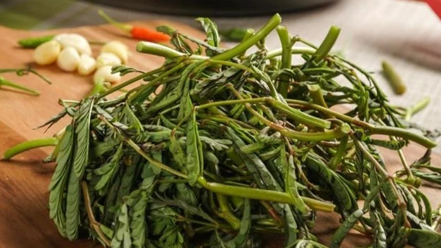 bai-viet/an-rau-nhut-nhieu-co-tot-khong-nhung-dieu-can-luu-y-khi-an-rau-nhut.html