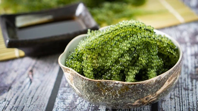 bai-viet/an-rong-nho-co-tac-dung-gi-cach-an-va-bao-quan-rong-nho-62816.html