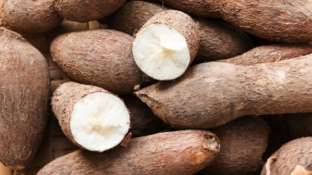 bai-viet/an-san-co-beo-khong-giam-can-sau-2-tuan-bang-cach-an-san-62512.html