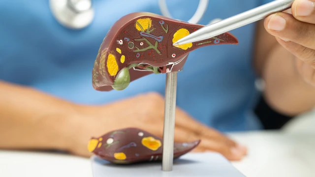 bai-viet/an-trung-ga-nhieu-co-hai-gan-khong-an-the-nao-cho-dung-va-hieu-qua.html