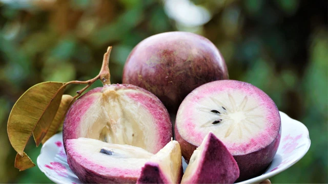 bai-viet/an-vu-sua-co-bi-tao-bon-khong-nhung-luu-y-khi-an-vu-sua-ban-nen-biet.html