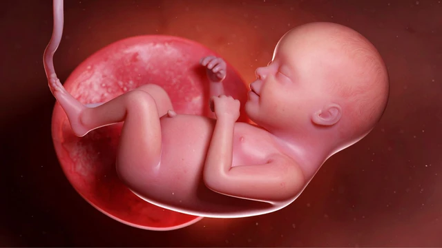 bai-viet/ba-bau-co-duoc-an-sashimi-ca-hoi-khong-giai-dap-chi-tiet-cho-me-bau.html