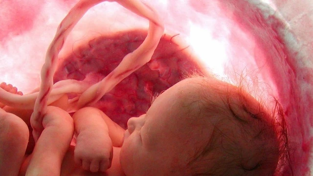 bai-viet/ba-bau-mac-canxi-hoa-do-2-co-nen-uong-canxi-nua-khong.html