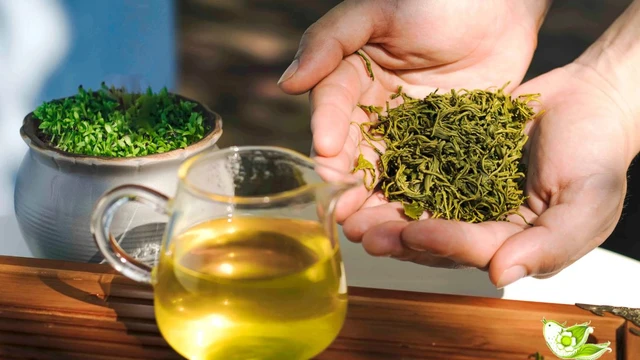 bai-viet/tac-dung-bat-ngo-cua-ba-tra-trong-doi-song-co-the-ban-chua-biet.html