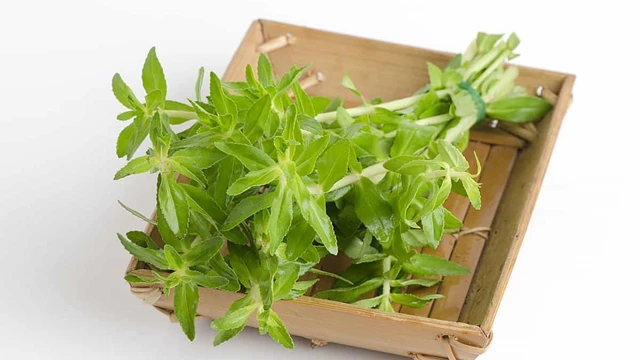 bai-viet/bac-si-giai-dap-uong-rau-om-voi-nuoc-dua-co-tac-dung-gi.html