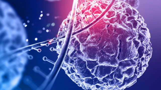 bai-viet/bach-cau-la-gi-tim-hieu-chuc-nang-va-y-nghia-cua-chi-so-bach-cau.html