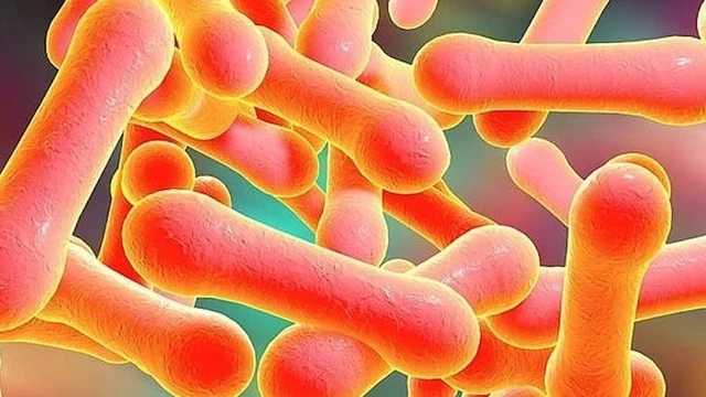 bai-viet/bach-hau-ngoai-da-dau-hieu-nhan-biet-va-cach-phong-ngua-hieu-qua.html