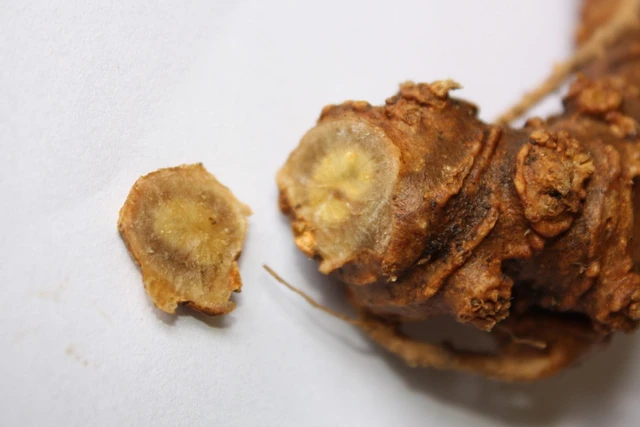 bai-viet/bai-thuoc-dan-gian-chua-benh-tim-mach-o-nam-gioi-hieu-qua-20741.html