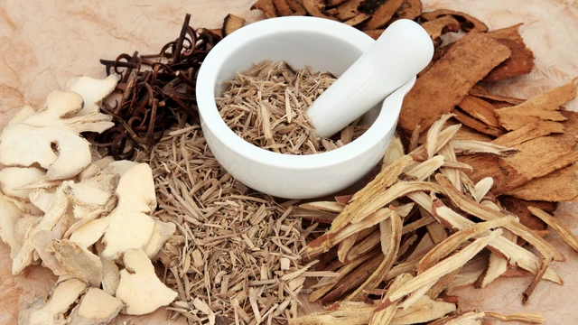 bai-viet/cac-cay-duoc-lieu-quy-hiem-va-nhung-gia-tri-cho-suc-khoe.html
