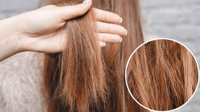 bai-viet/bo-tui-7-cach-phuc-hoi-toc-kho-xo-nhanh-nhat-tai-nha.html