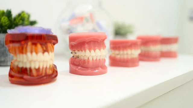 bai-viet/chinh-ham-ho-mom-o-dau-goi-y-dia-diem-uy-tin-nen-tham-khao.html