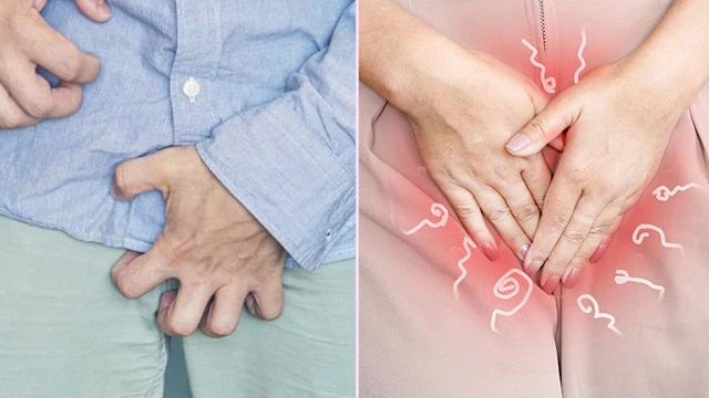 bai-viet/ghe-vung-kin-la-gi-nguyen-nhan-dau-hieu-va-cach-dieu-tri.html