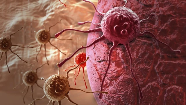 bai-viet/giai-dap-thac-mac-te-bao-ung-thu-so-gi-nhat.html