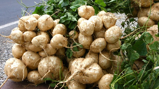 bai-viet/me-sau-sinh-an-cu-dau-duoc-khong-dau-hieu-can-ngung-an-cu-dau.html