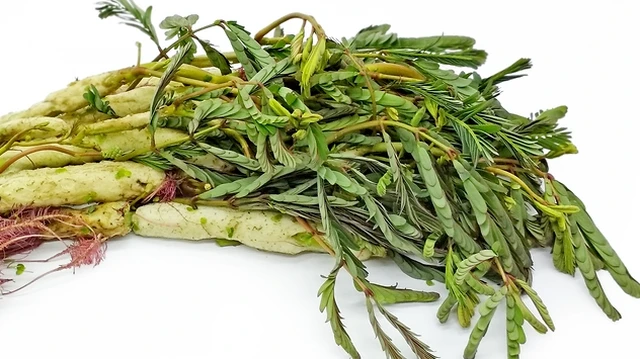 bai-viet/rau-nhut-dac-diem-tac-dung-cac-bai-thuoc-tri-benh.html