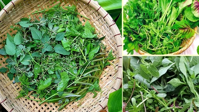 bai-viet/rau-tap-tang-la-rau-gi-thanh-phan-dinh-duong-va-loi-ich-suc-khoe.html