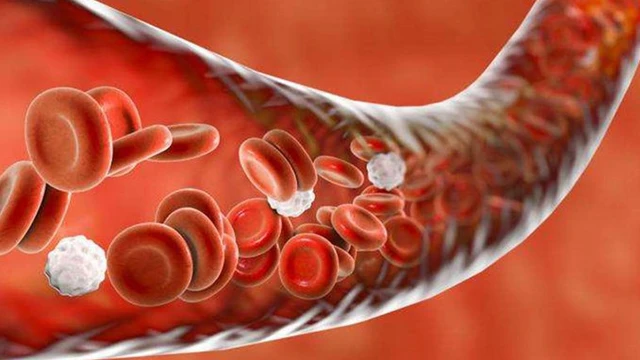 bai-viet/shigella-gay-benh-gi-cach-dieu-tri-va-phong-ngua-nhiem-benh.html