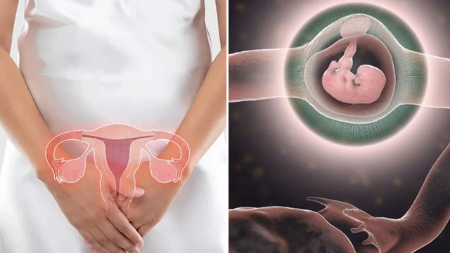 bai-viet/thai-ngoai-tu-cung-doan-ke-la-gi-phuong-phap-chan-doan-va-dieu-tri.html