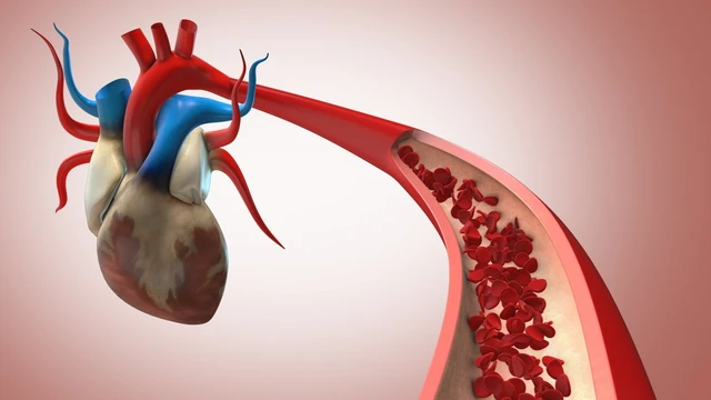 bai-viet/ban-da-biet-an-gi-tot-cho-tim-mach-va-huyet-ap-hay-chua.html